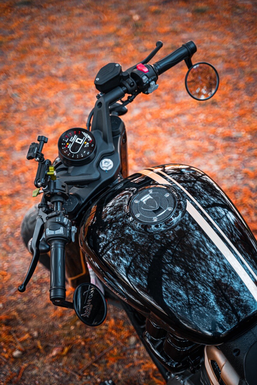 Benda Napoleon 500 Bobber, Phân Phối Chính Hãng, Giá Rẻ