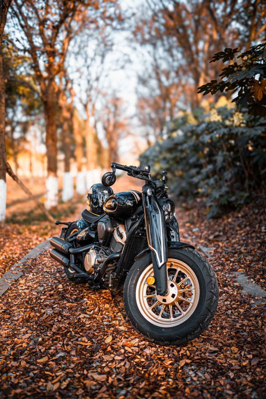 Benda Napoleon 500 Bobber, Phân Phối Chính Hãng, Giá Rẻ