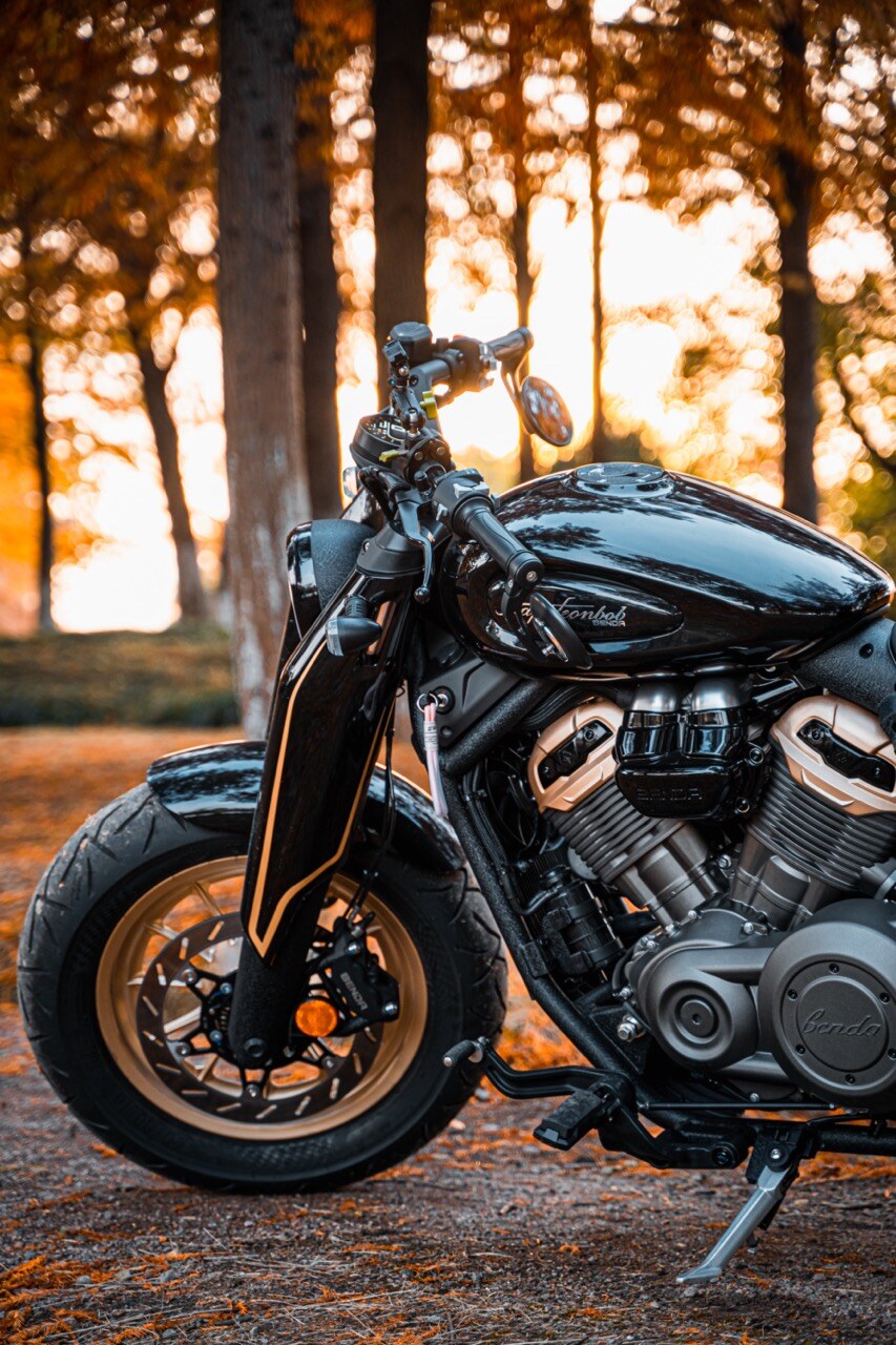 Benda Napoleon 500 Bobber, Phân Phối Chính Hãng, Giá Rẻ