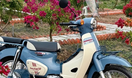 Sở hữu Honda Cub 50 Final Edition Nhật Bản 800 Chiếc Cuối Cùng Của Huyền Thoại Honda Cub 50